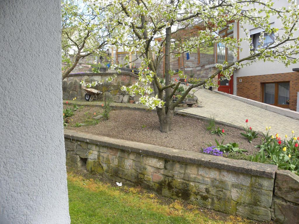 فندق Thueringer Hof Richelsdorf المظهر الخارجي الصورة