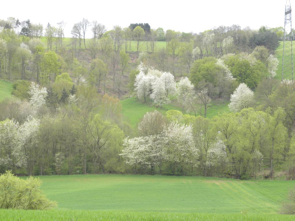 فندق Thueringer Hof Richelsdorf المظهر الخارجي الصورة